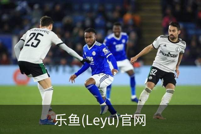 乐鱼(Leyu)官网公司介绍